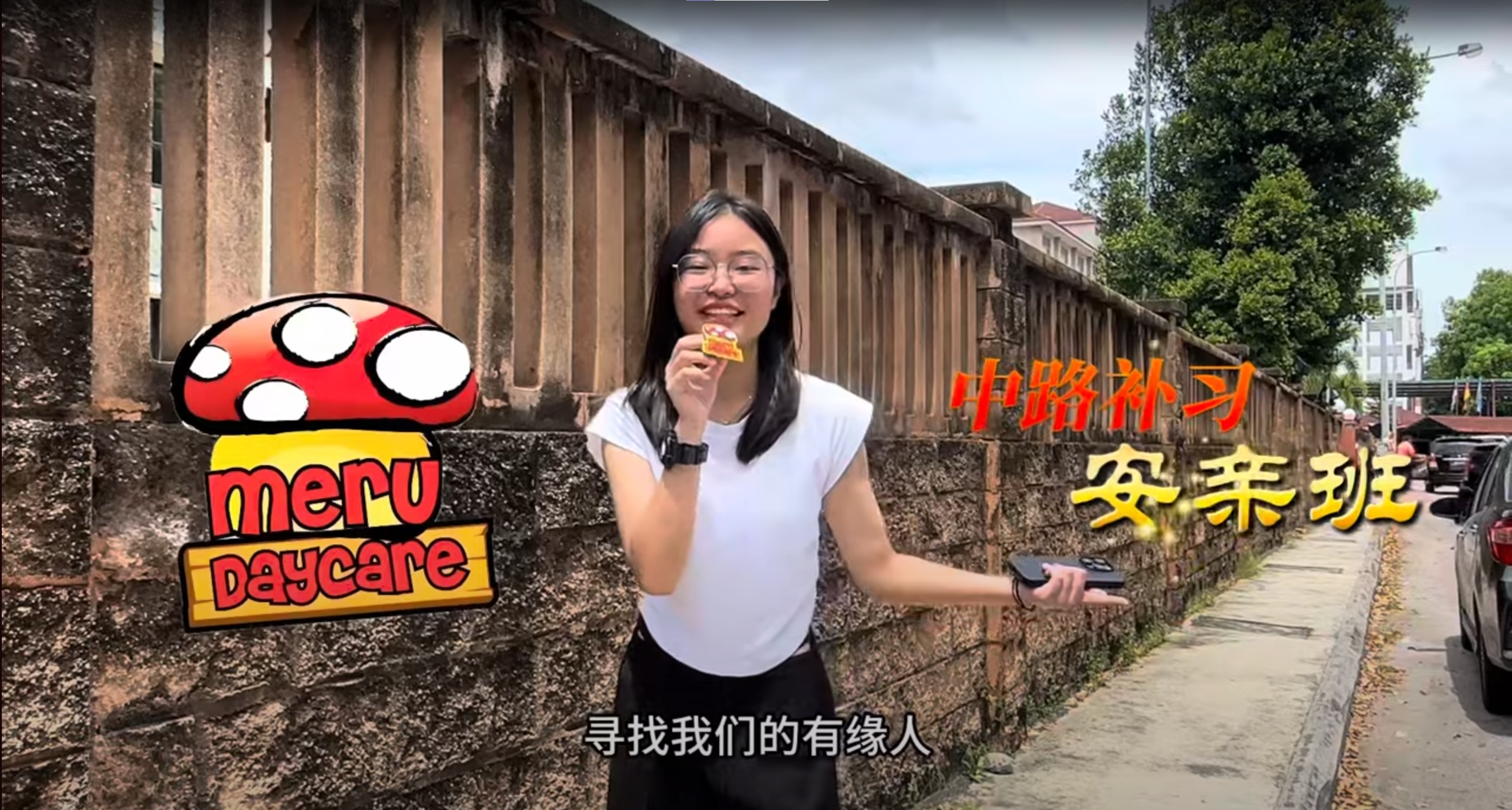Video 8